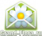 Логотип компании Доставка цветов Гранд Флора (ф-л г.Кропоткин)